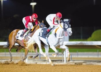برعاية أمير منطقة الرياض .. نادي سباقات الخيل ينظم كأس الأمير محمد بن سعود الكبير “كأس الوفاء”