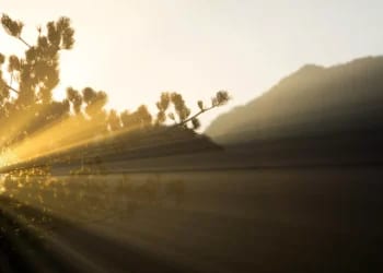 كيف يؤثر الضوء  على صحتك العقلية؟.. دراسة جديدة تكشف