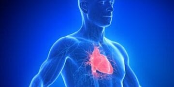 منها النبص غير السريع والرفرفة العابرة.. تعرف على أعراض خفقان القلب