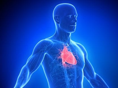 منها النبص غير السريع والرفرفة العابرة.. تعرف على أعراض خفقان القلب