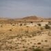 ثياو قبل «كوب 16»: العالم يحتاج 355 مليار دولار سنوياً لمكافحة التصحر