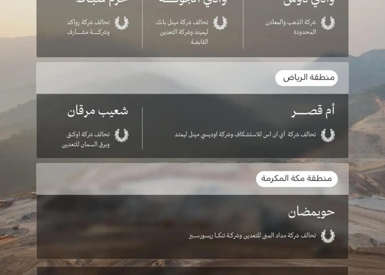 في مساحة 858 كم.. 11 شركة محلية وعالمية تفوز برخص الكشف في 6 مواقع تعدينية