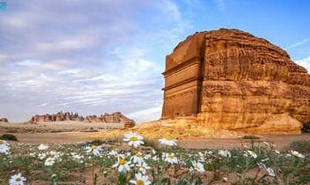 العلا تشهد زيادة في عدد السياح الوافدين بـ 59%