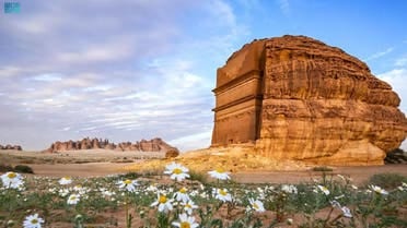 العلا تشهد زيادة في عدد السياح الوافدين بـ 59%