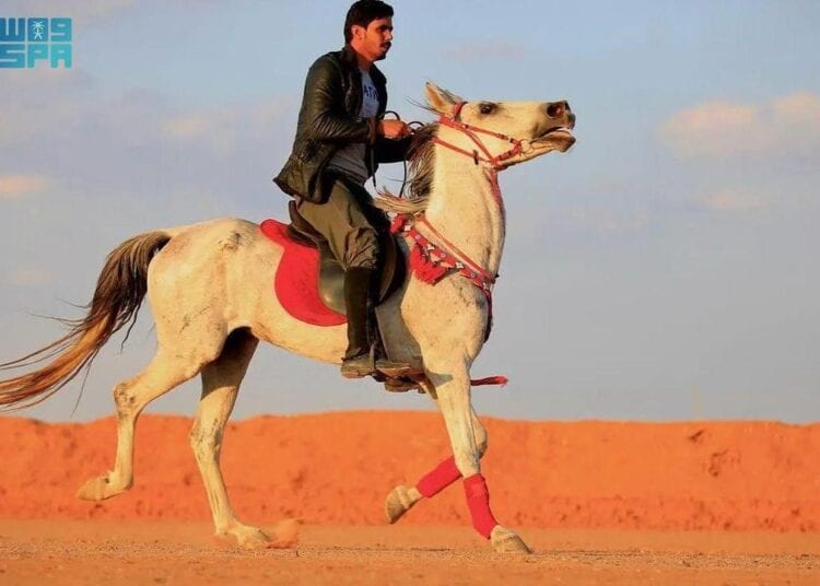 رياضة ركوب الخيل ورعايتها .. موروث شعبي يستهوي أهالي طريف