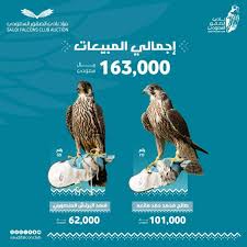 مزاد نادي الصقور السعودي 2024.. بيع صقرين بمبلغ 163 ألف ريال في الليلة الـ 14