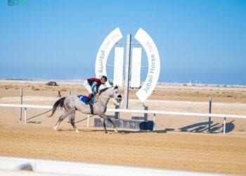انطلاق أولى سباقات ميدان فروسية الجبيل للموسم الحالي ١٤٤٦هـ