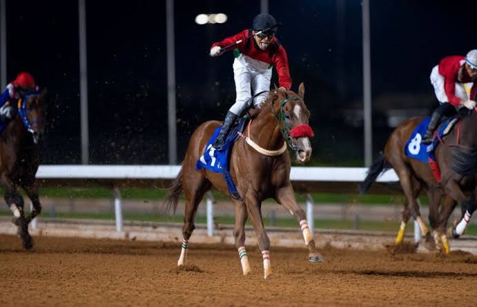 نادي سباقات الخيل ينظّم الأسبوع السابع من موسم سباقات الرياض