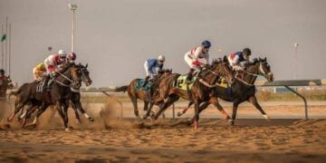 “البيذخ” بطل الحفل الثاني لسباقات موسم الفروسية بالجوف