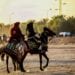 بـدء فعاليات المهرجان الدولي للصحراء بدوز التونسية