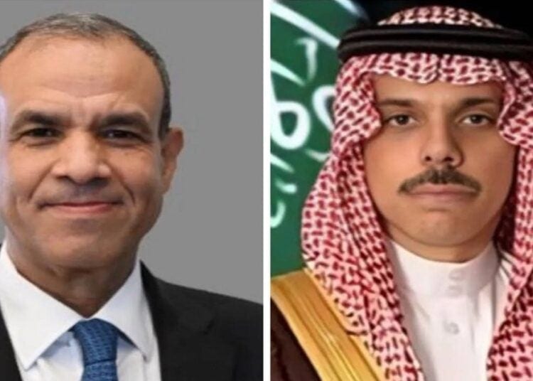 مباحثات سعودية - مصرية حول تطورات الأزمة السورية