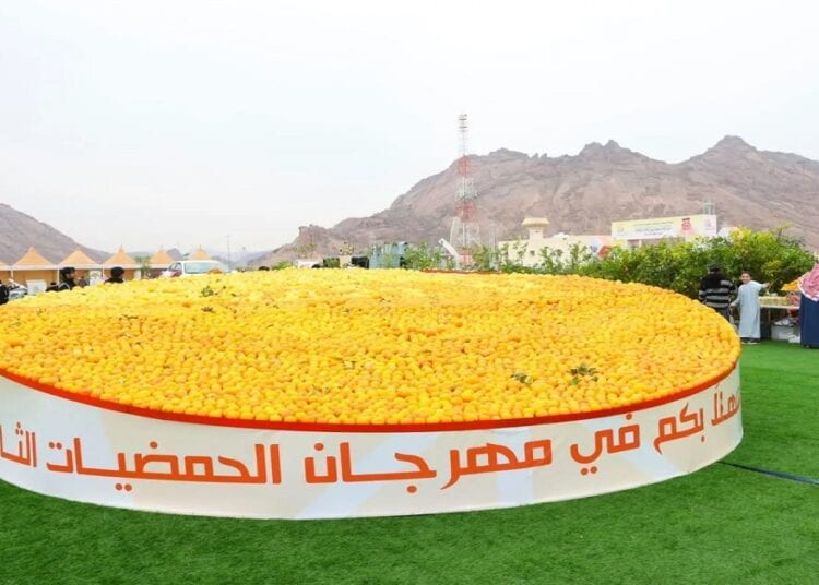 مهرجان "حمضيات حائل" يجذب الزوار والسيّاح