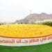 مهرجان "حمضيات حائل" يجذب الزوار والسيّاح