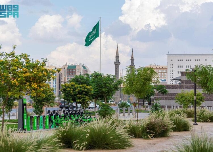 زراعة أكثر من 153 ألف شجرة تعزّز جمالية المشهد الحضري للمدينة المنورة