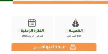 "الأمن الغذائي" ترسي الدفعة السادسة من القمح المستورد لعام 2024