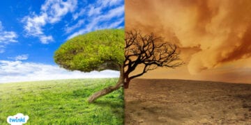 مختص: من أسباب تغير المناخ فساد الإنسان الذي تعامل مع الغلاف الجوي بشيء من الجنون والأنانية