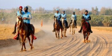 الفارس الزايدي بطلًا لسباق التحدي للقدرة والتحمل