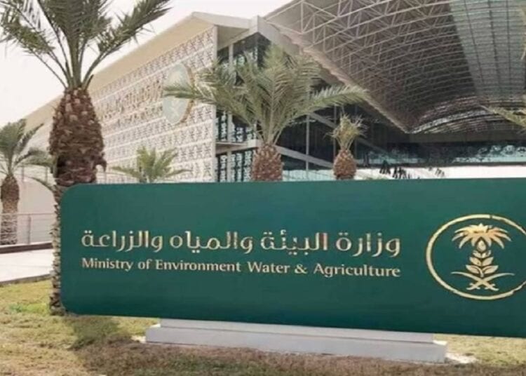 "البيئة" تستعد لإطلاق (الملتقى الدولي الأول لـريف السعودية) بمشاركة دولية واسعة في محافظة الأحساء