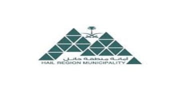 أمانة حائل تُحقق جائزة الحكومة الرقمية تقديرًا لجهودها في التحول الرقمي وتقديم الخدمات الإلكترونية للمواطنين.