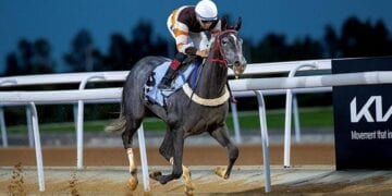 نادي سباقات الخيل ينظم أسبوعه العاشر من موسم سباقات الرياض