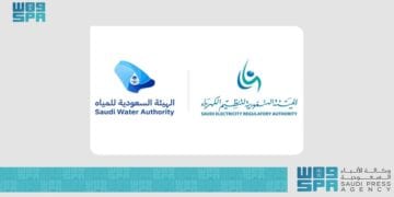 "الكهرباء" و"المياه" تدعوان المستفيدين لتوثيق العدادات