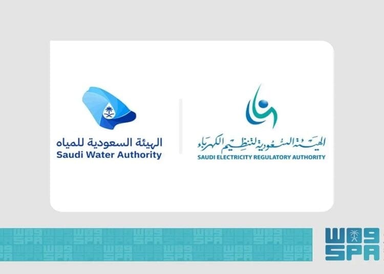 "الكهرباء" و"المياه" تدعوان المستفيدين لتوثيق العدادات