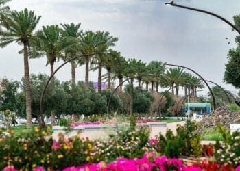 أمانة حائل تهيئ الحدائق والمتنزهات لاستقبال الزوار خلال إجازة منتصف العام الدراسي