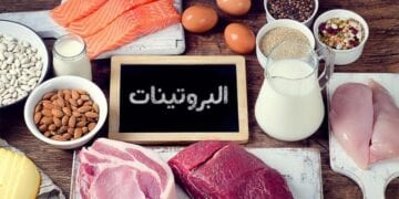 مختص: البروتين هو الخيار الأفضل لدعم الصحة وإنقاص الوزن
