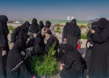 طالبات الأحساء يزرعون الأشجار في مدينة الليمون