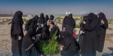 طالبات الأحساء يزرعون الأشجار في مدينة الليمون
