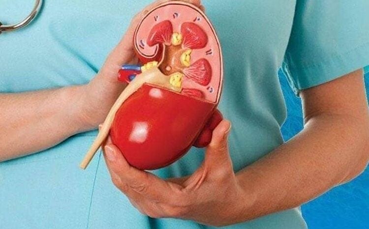 ‏7 خطوات لحماية نفسك من أمراض الكلى المزمنة