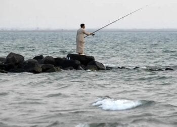 عسير تحصد 41 مليون دولار من الثروة السمكية