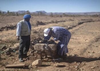 البنك الدولي يحذّر: تدهور الأراضي يكلّف المليارات ويدعم الحلول المستدامة