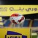 رابطة أندية الأولى: قرارات 2024 تعزز تنافسية الدوري والفرق المشاركة