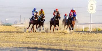 ميدان فروسية الجبيل ينظم السباق العاشر لموسم 1446هـ