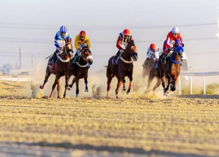ميدان فروسية الجبيل ينظم السباق العاشر لموسم 1446هـ