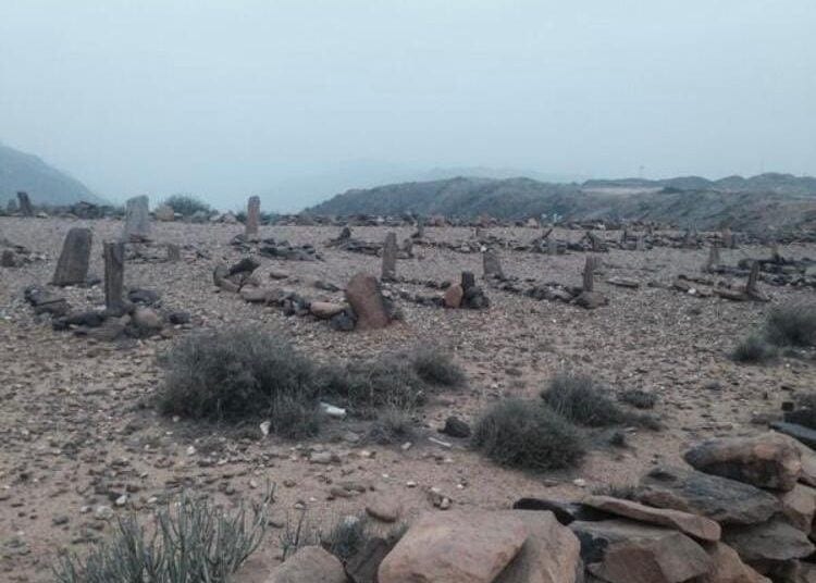 “قبر على قارعة الطريق” في عسير يثير الجدل والتساؤلات.. ما قصته؟