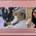 الشيف إيناس خضري: نسعى في “مبادرة طهاة الحج” لاحترام ذائقة الحاج وتوفير وجبات تناسب كل ثقافة