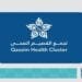جراحة عاجلة تنقذ حياة سيدة ومواليدها في عيون الجواء
