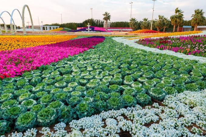 انطلاق فعاليات “مهرجان الزهور والحدائق الـ 15 بينبع الصناعية” بعد غدٍ