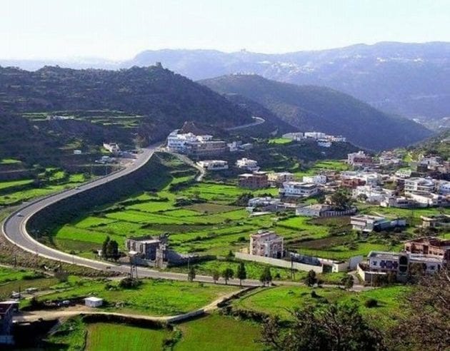 مزارع منطقة الباحة: تنوع المحاصيل الزراعية ودورها في تلبية احتياجات الأسواق المحلية