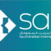 السعودية تحقق إنجازًا عالميًا مع SAIX.. أول مقسم إنترنت في المنطقة ينضم لـ “نادي التيرابت” (إنفو جراف)