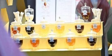 مهرجان عسل جازان العاشر.. بوابة لتعزيز السياحة ودعم النحالين