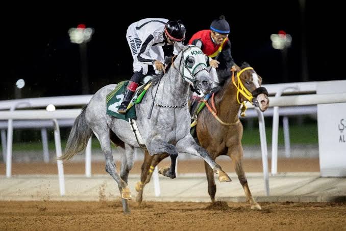إقامة كأس الأمن العام وكأس نادي سباقات الخيل في الأسبوع التاسع عشر من موسم سباقات الرياض
