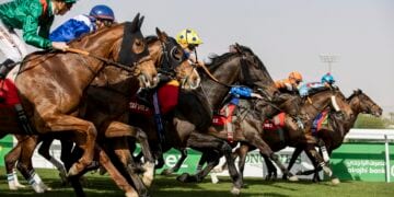 نادي سباقات الخيل يكشف عن القوائم الأولية للمشاركين في مهرجان كأس السعودية 2025