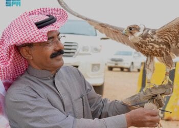 إقبال واسع وأجواء تنافسية في مهرجان الصقور بالقصيم