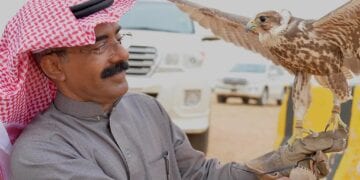 إقبال واسع وأجواء تنافسية في مهرجان الصقور بالقصيم