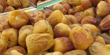 استشاري: التمور منجم للمعادن والفيتامينات.. تعزز المناعة وتحمي القلب والجهاز الهضمي
