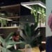 متحدث وزارة البلديات: «لأنها بلدي» تستهدف تعزيز الامتثال والوعي لتحسين جودة الحياة “فيديو”