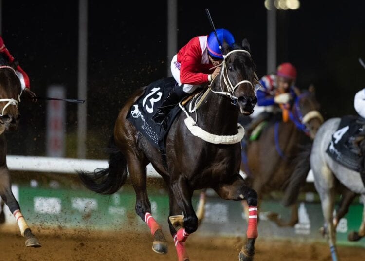 تتويج الجواد الفائز بكأس الأمن العام ضمن فعاليات موسم سباق الخيل بالرياض